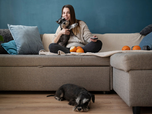 Cómo Eliminar el Olor a Orina de Perro del Suelo: Soluciones Efectivas y Amigables